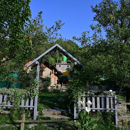Himalayan Mud Resort Kasol Extérieur photo