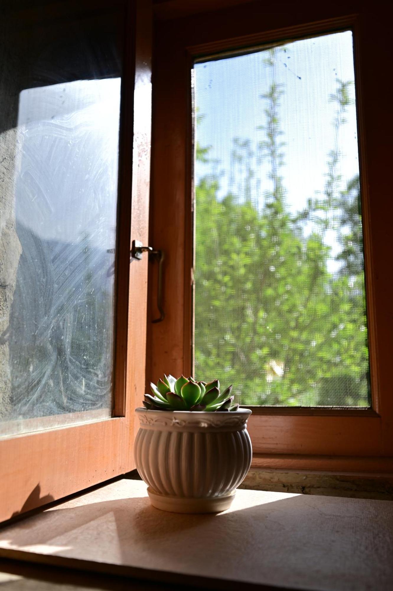 Himalayan Mud Resort Kasol Extérieur photo